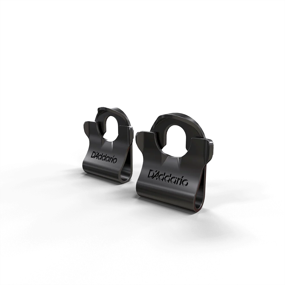 Dual-Lock Strap Lock